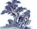 古树
