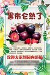 黑布仑熟了