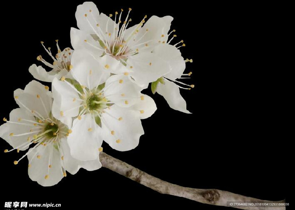 花
