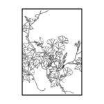 花鸟