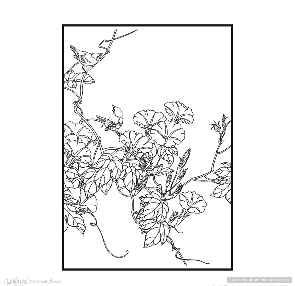 花鸟