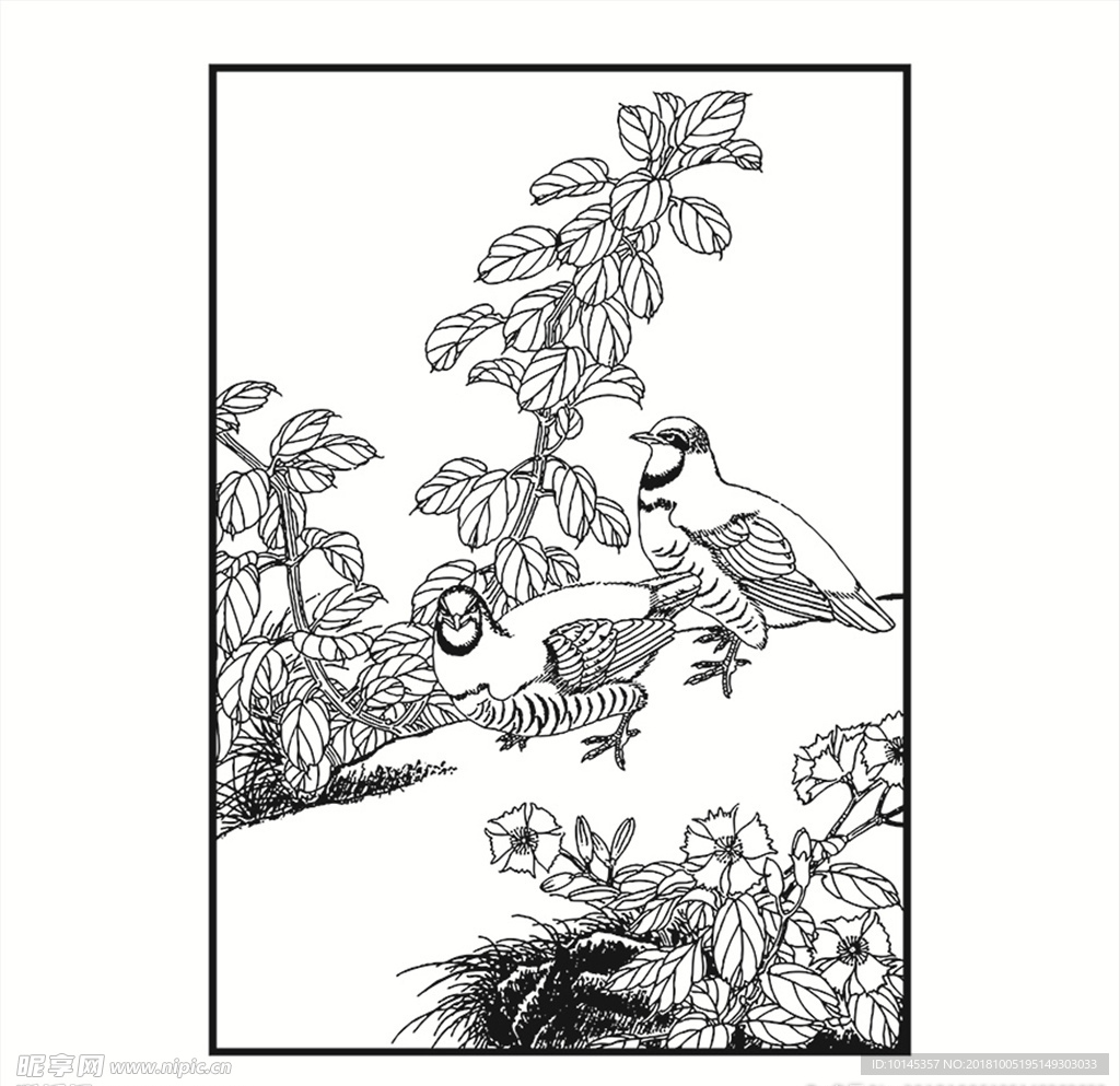 花鸟