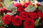 玫瑰花