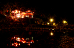 温州永嘉楠溪江岩龙古村夜景