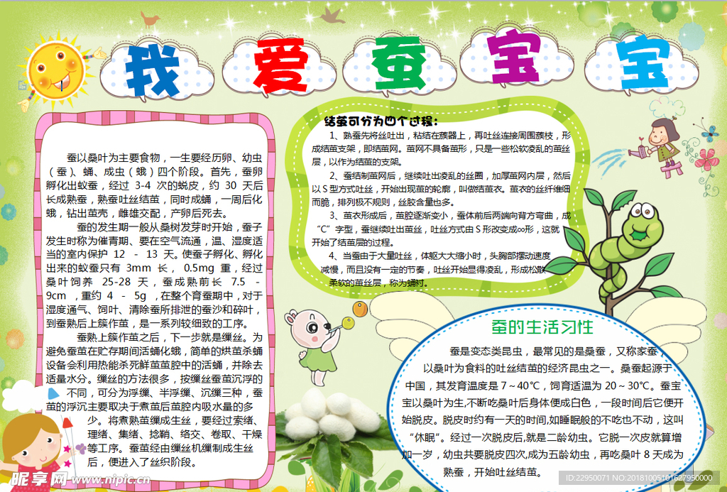 自然小报