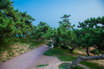 青岛鲁迅公园