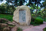 青岛鲁迅公园