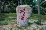 青岛鲁迅公园