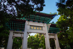 青岛鲁迅公园