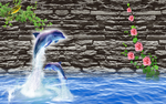 海豚