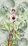 玉石画