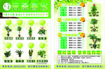 植物园艺宣传单
