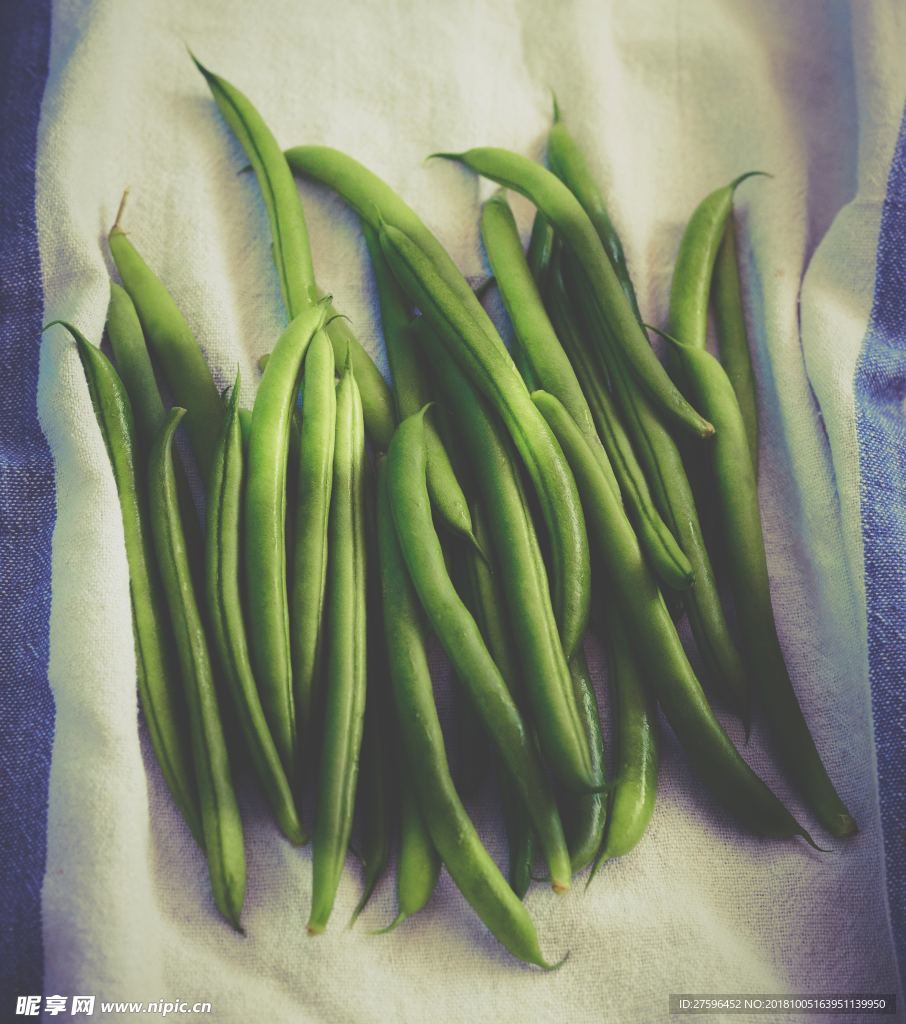 豆荚