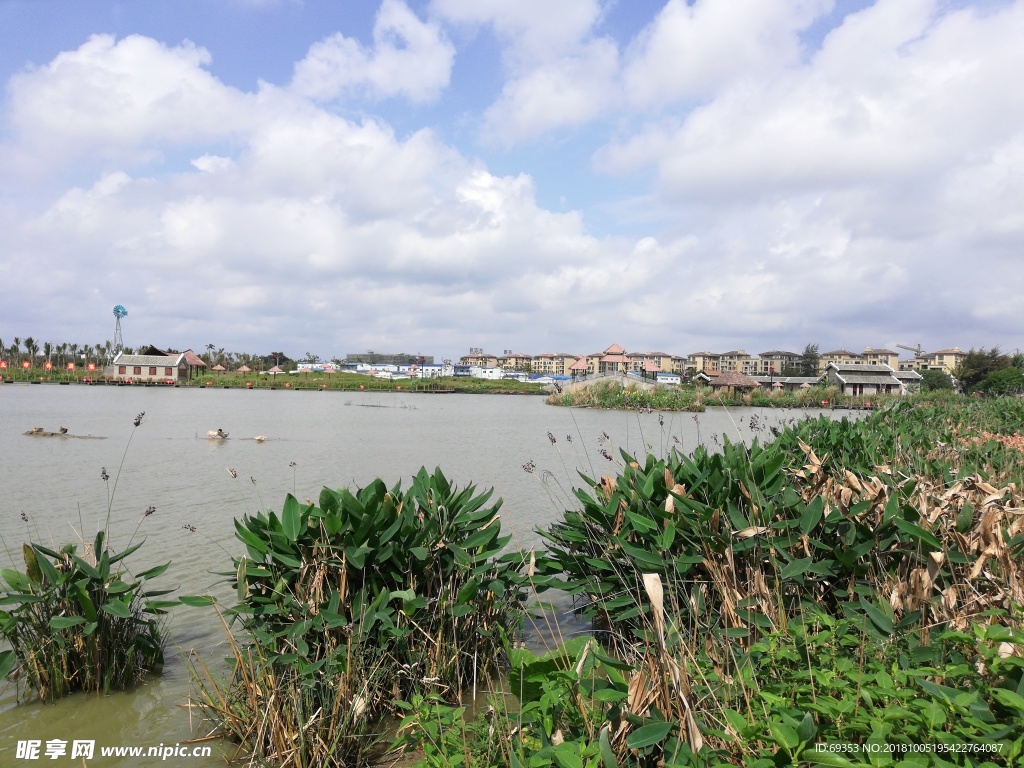 湿地公园  海南风光 海南农庄