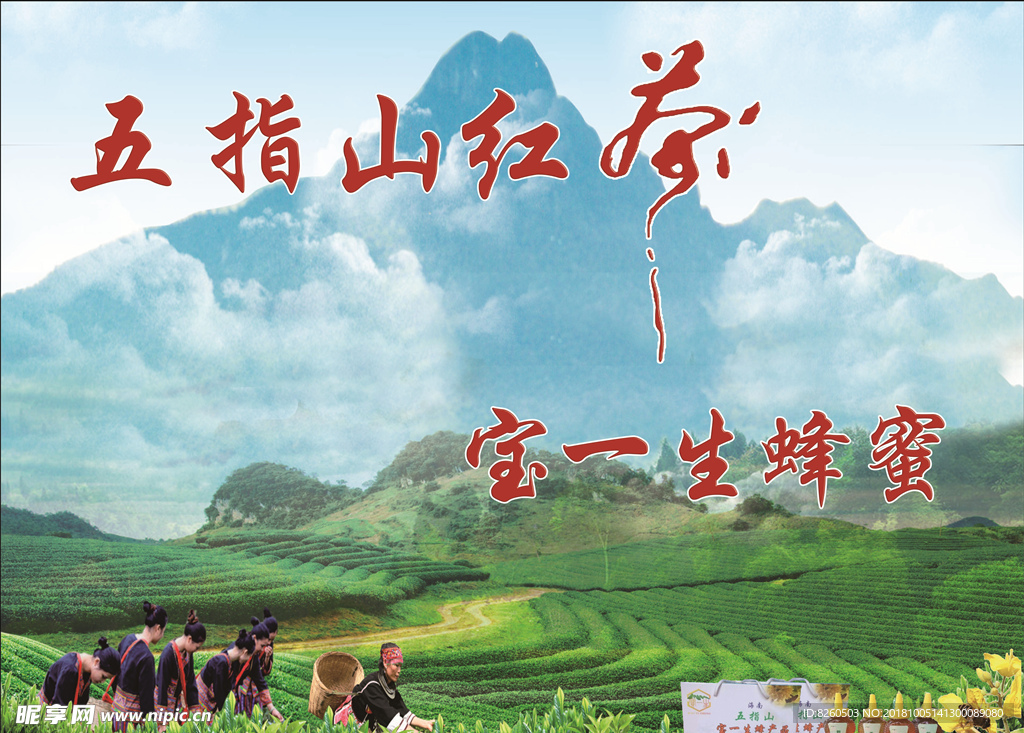 五指山红茶海报