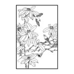 花鸟