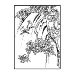 花鸟
