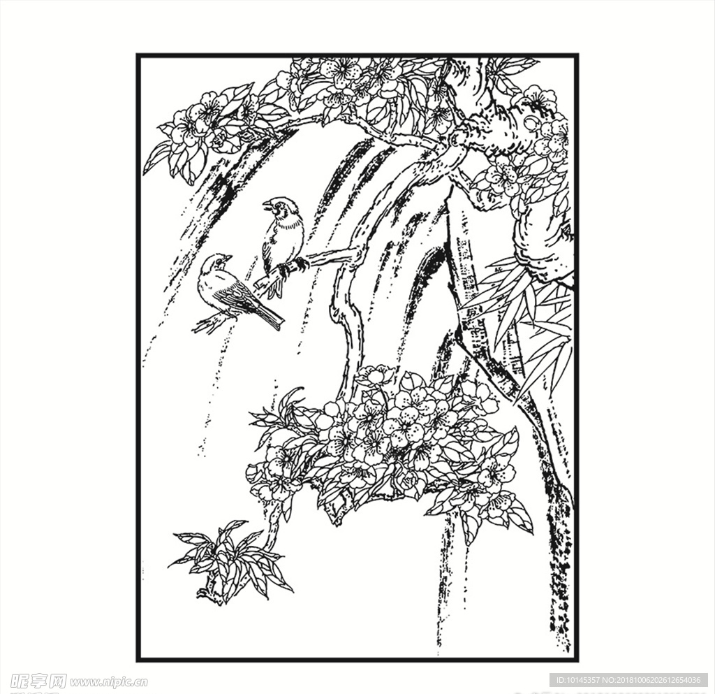 花鸟