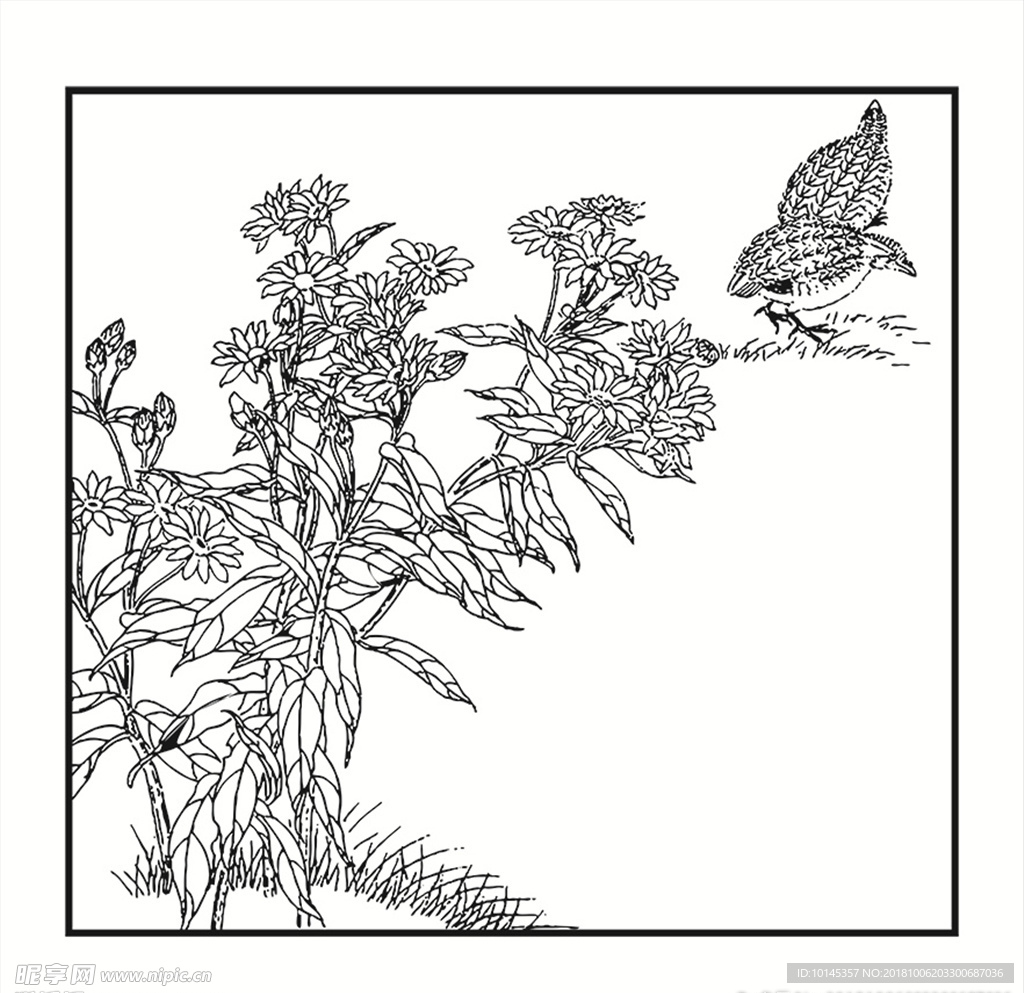 花鸟