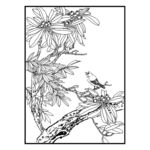花鸟