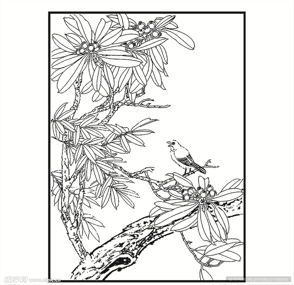 花鸟