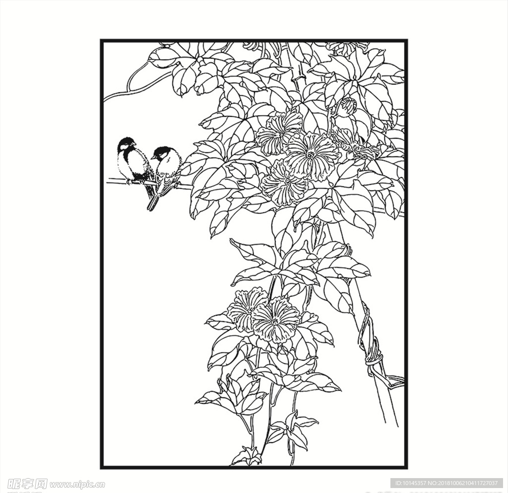 花鸟