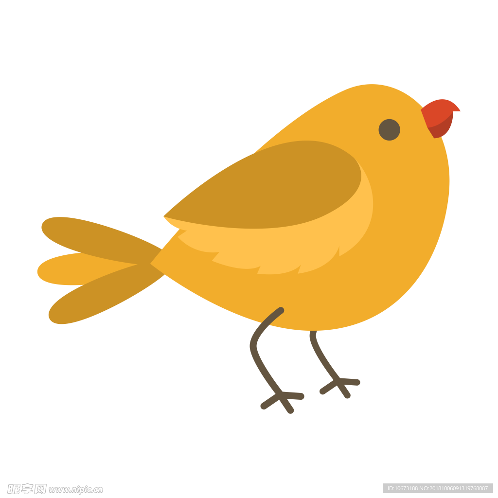 透明底鸟
