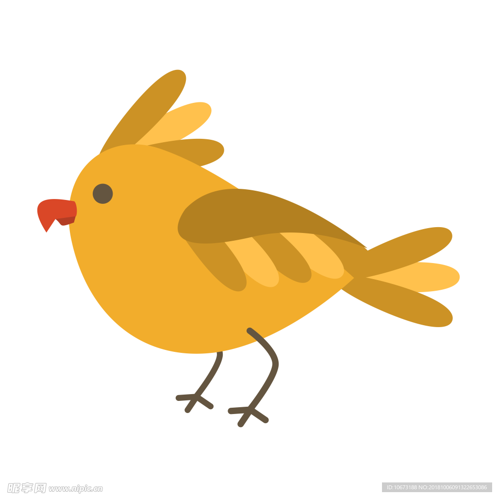 透明底鸟