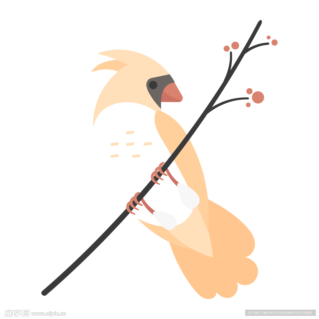 透明底鸟