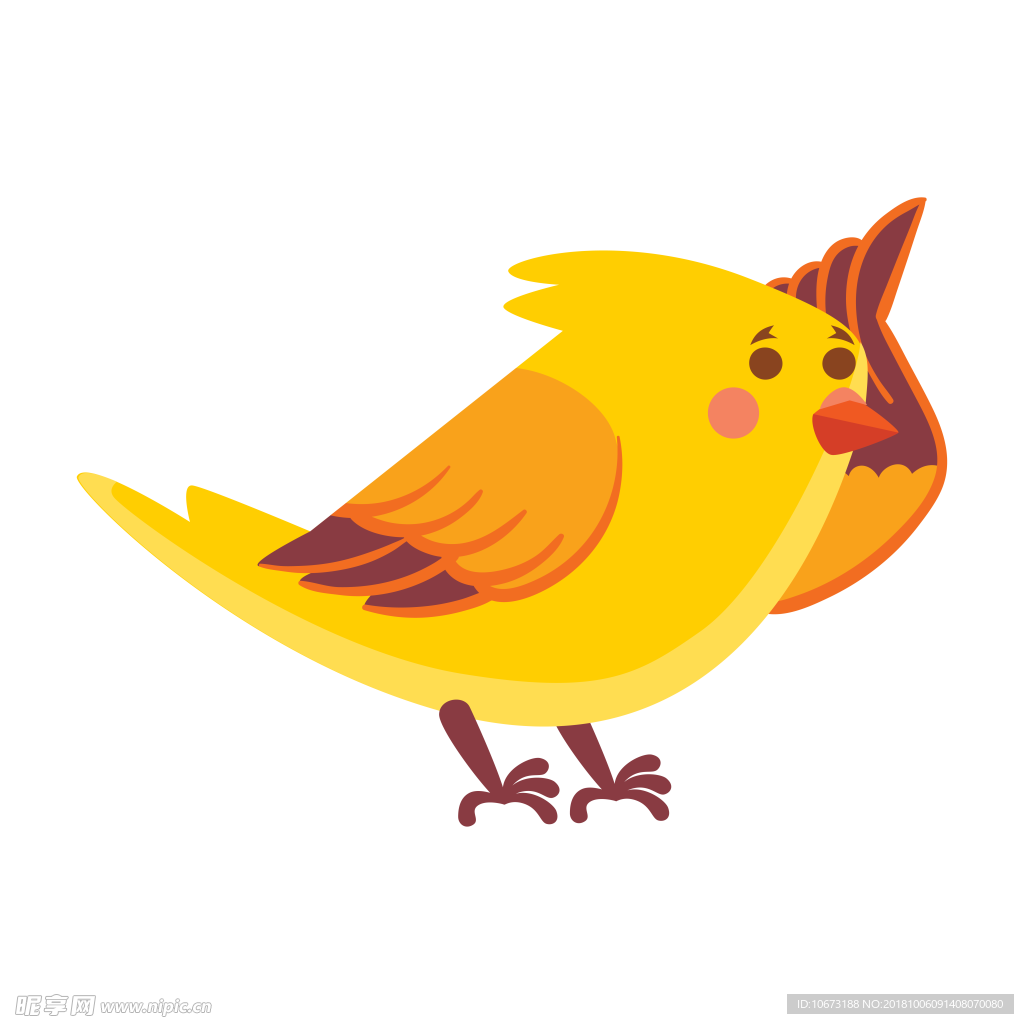 透明底鸟