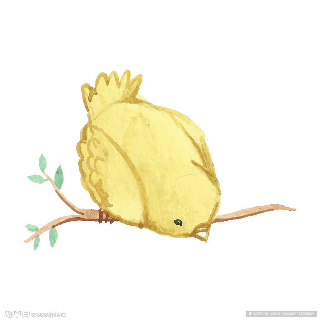 透明底鸟