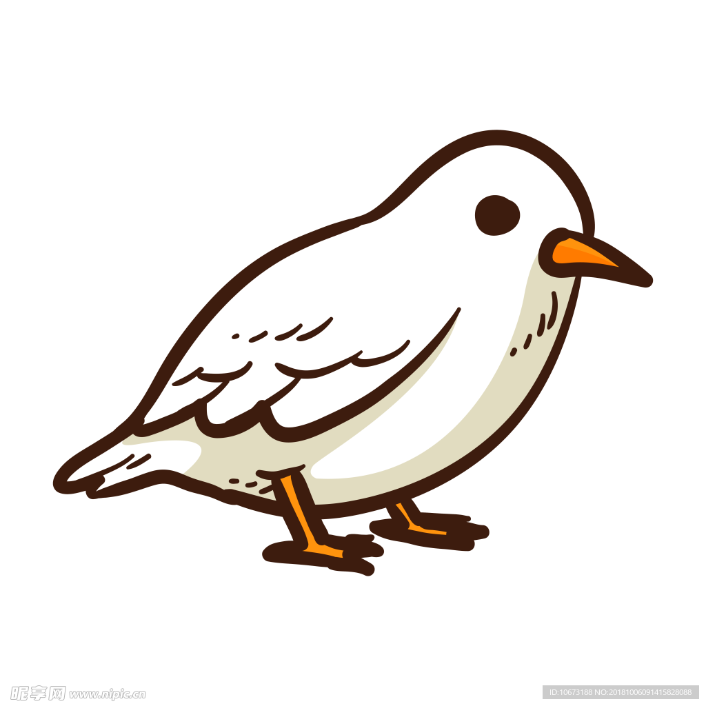 透明底鸟