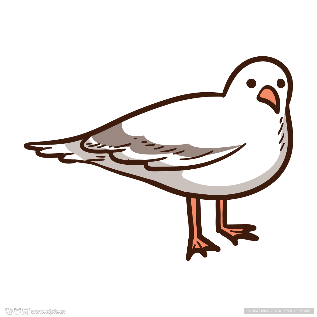 透明底鸟