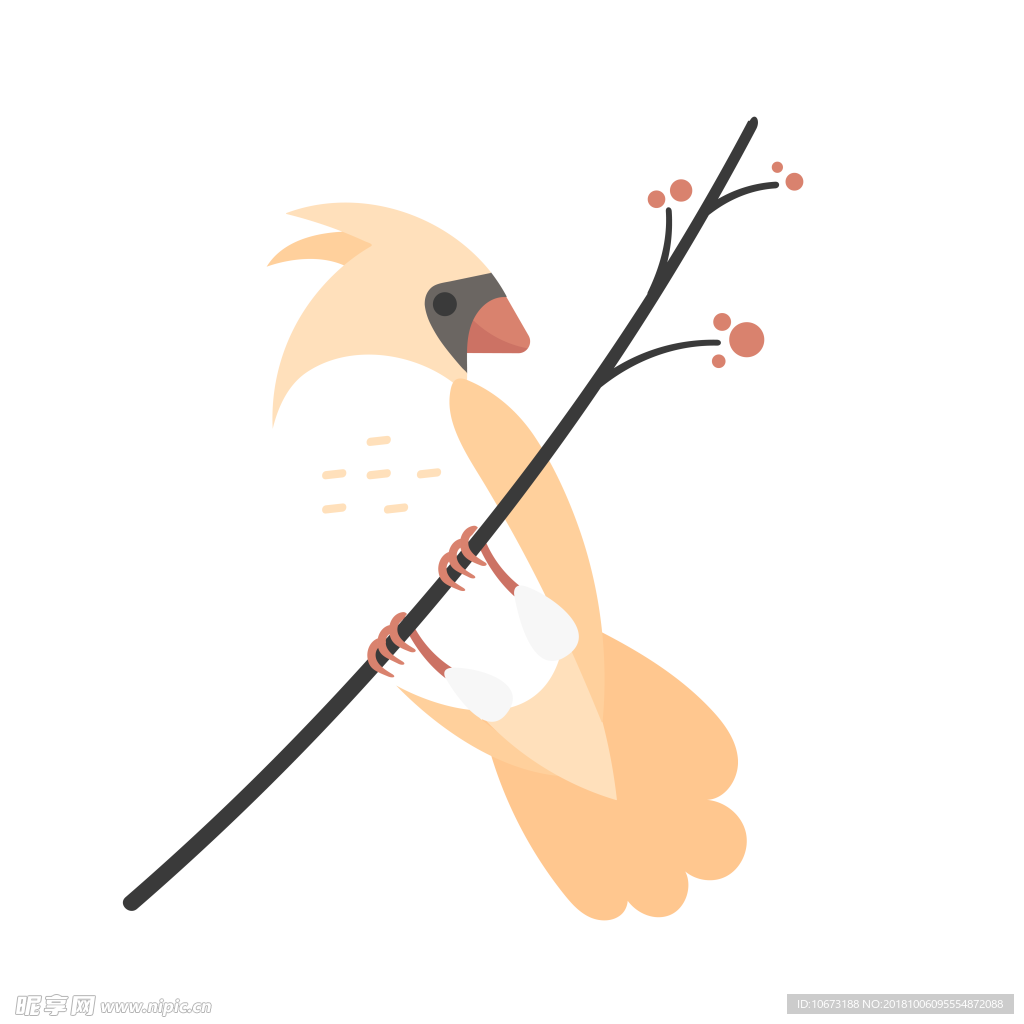 透明底鸟