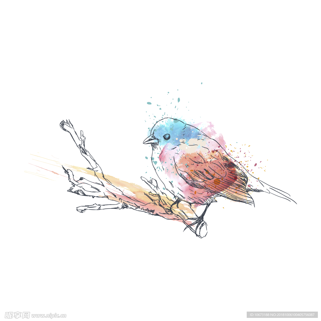 卡通鸟