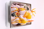 摄影 展架 水牌 灯箱 单品