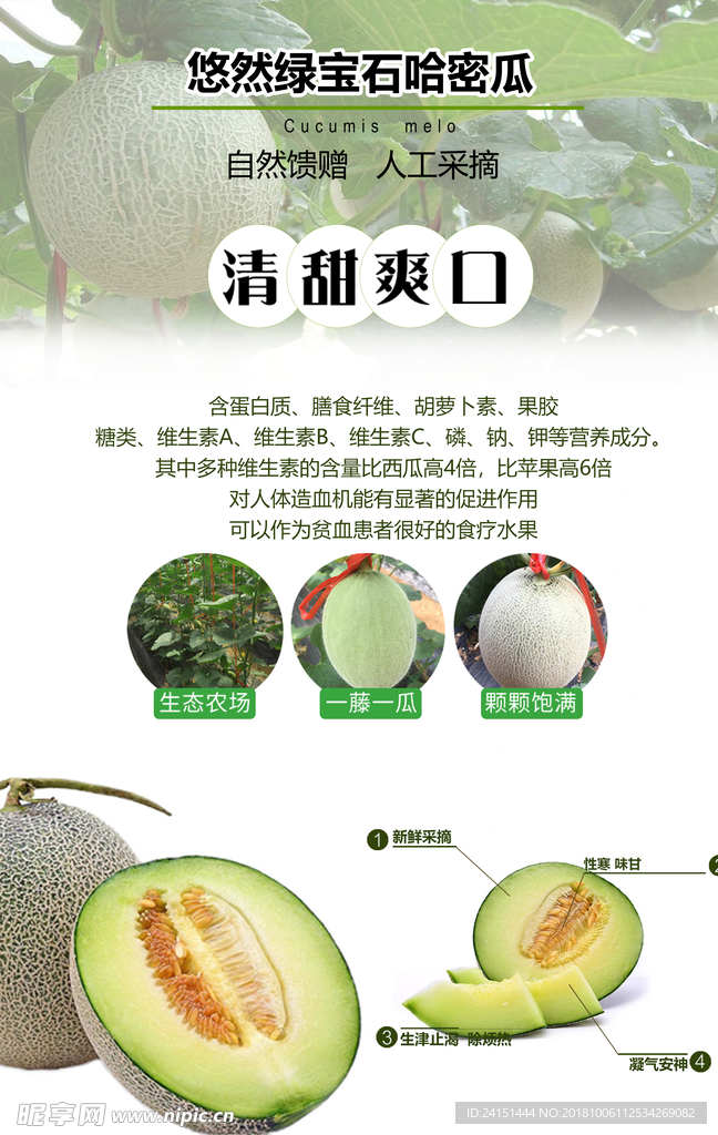 哈密瓜海报