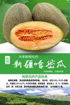 新疆哈密瓜