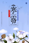 寒露