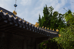 崂山太清宫