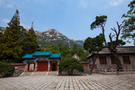 崂山太清宫