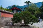崂山太清宫