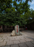 崂山太清宫