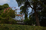 崂山太清宫