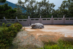 崂山太清宫