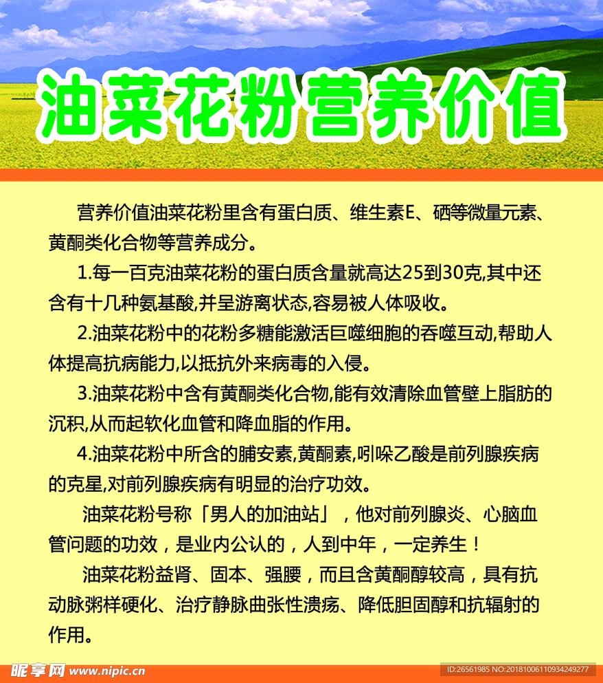 油菜花的营养价值