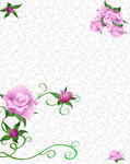 花纹