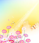 花纹