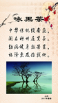 黑茶 展牌 展版 背景 咏黑茶