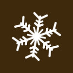 梦幻雪花